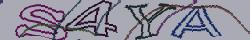 Retype the CAPTCHA code from the image